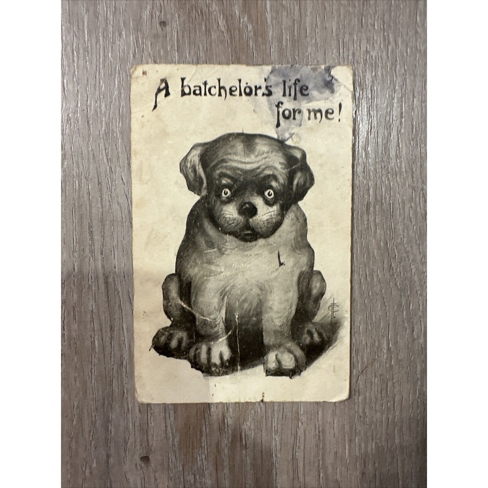 VTG POSTCARD A BATCHELOR'S LIFE FOR ME! PUPPY‎